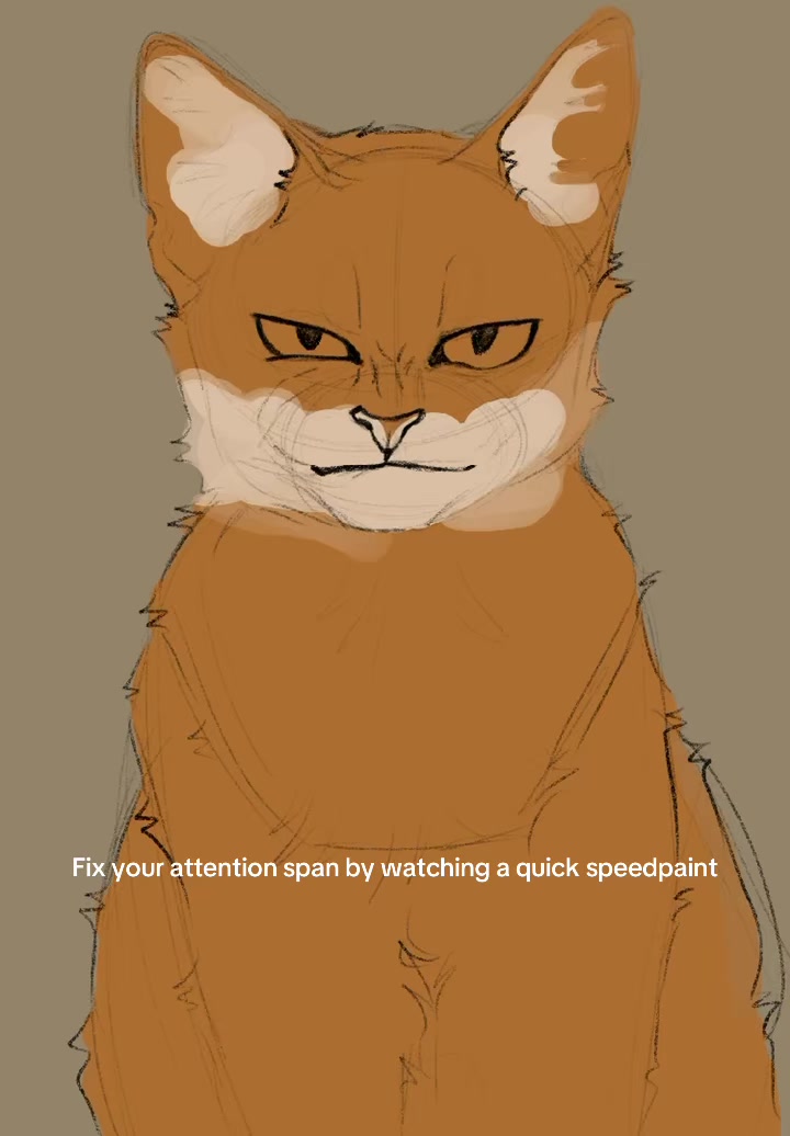 @BagABones (comms open)