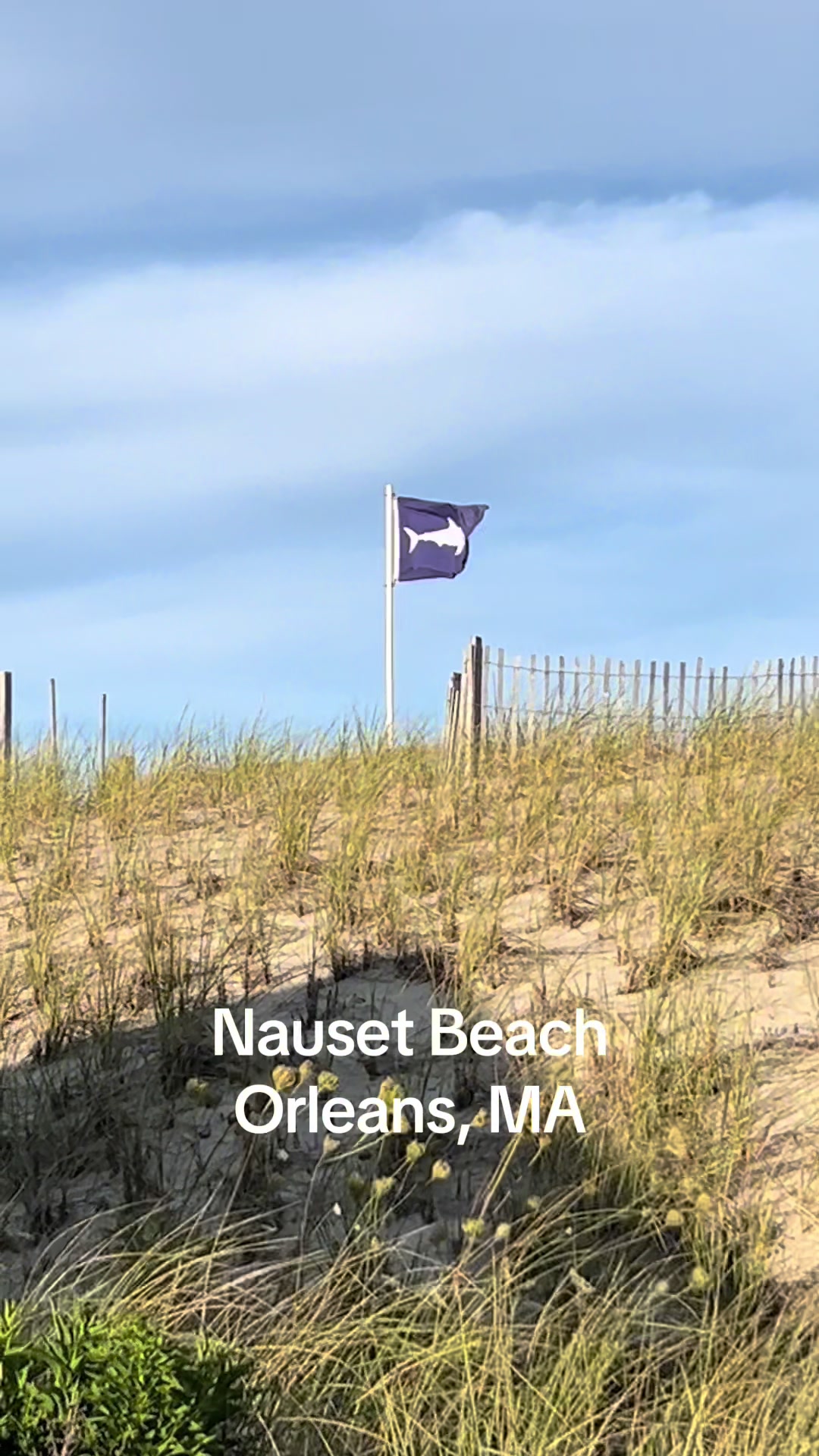 @CapeCodBeachLife