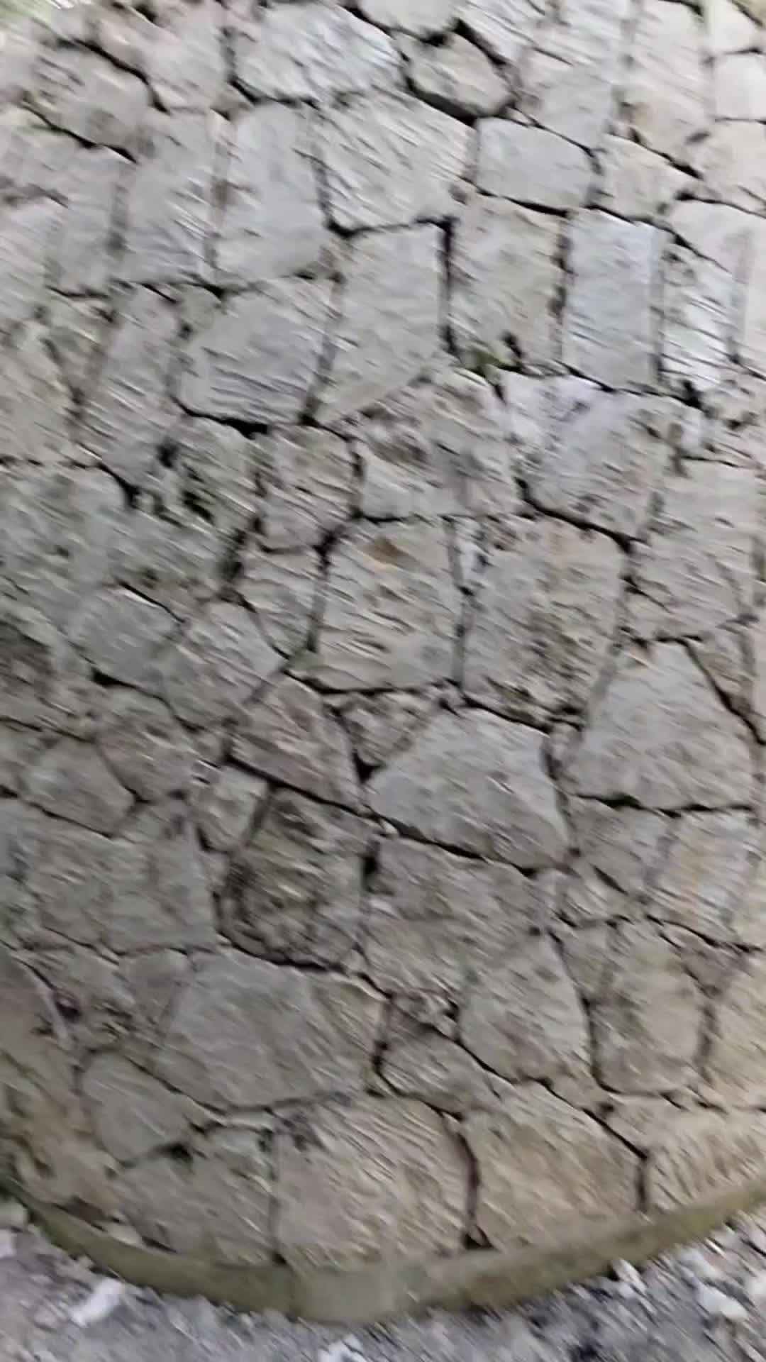 @giuseppepintald48