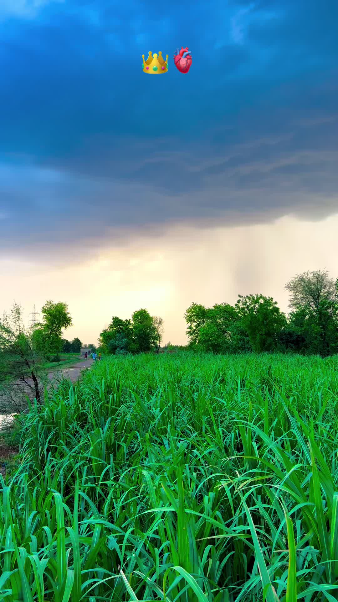 @پنجابی کلچر 🌾🍂