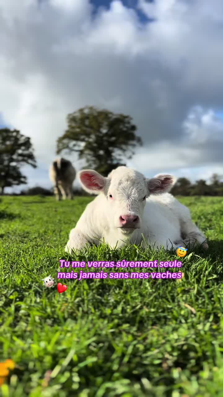 @Juliette 👩🏼&zwj;🌾🌾