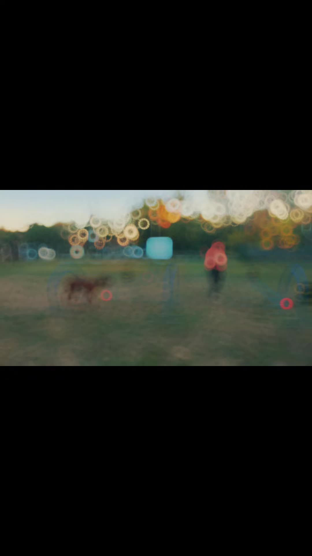@Szigeti Kutyasuli 2015