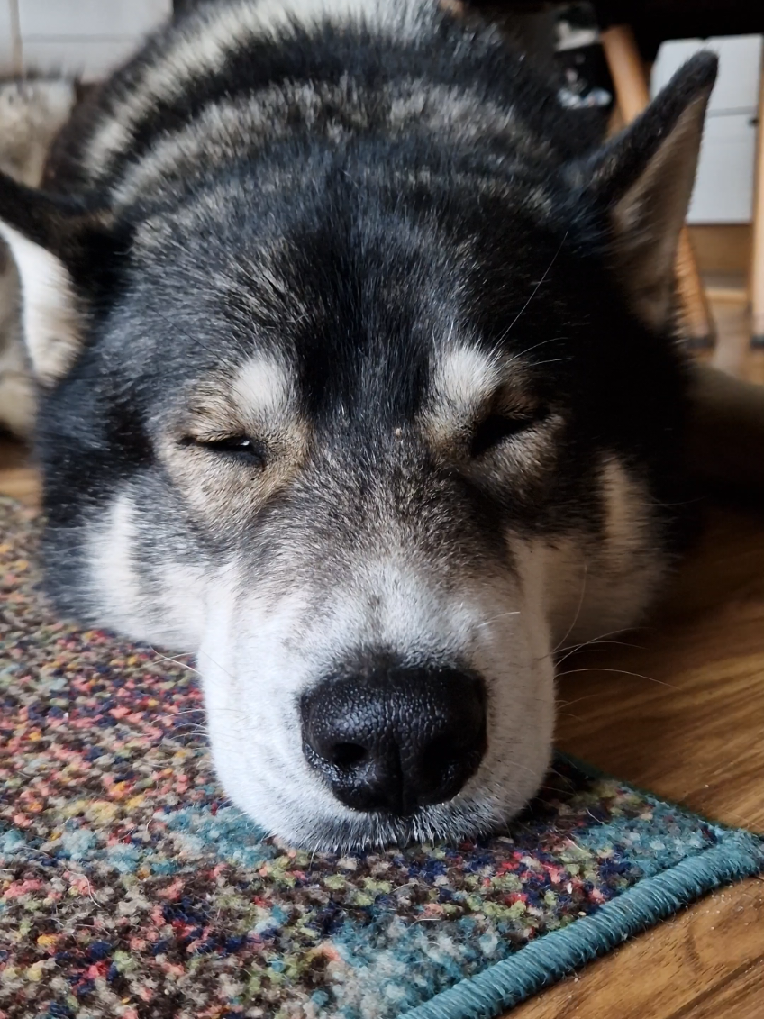 @husky.ananaski