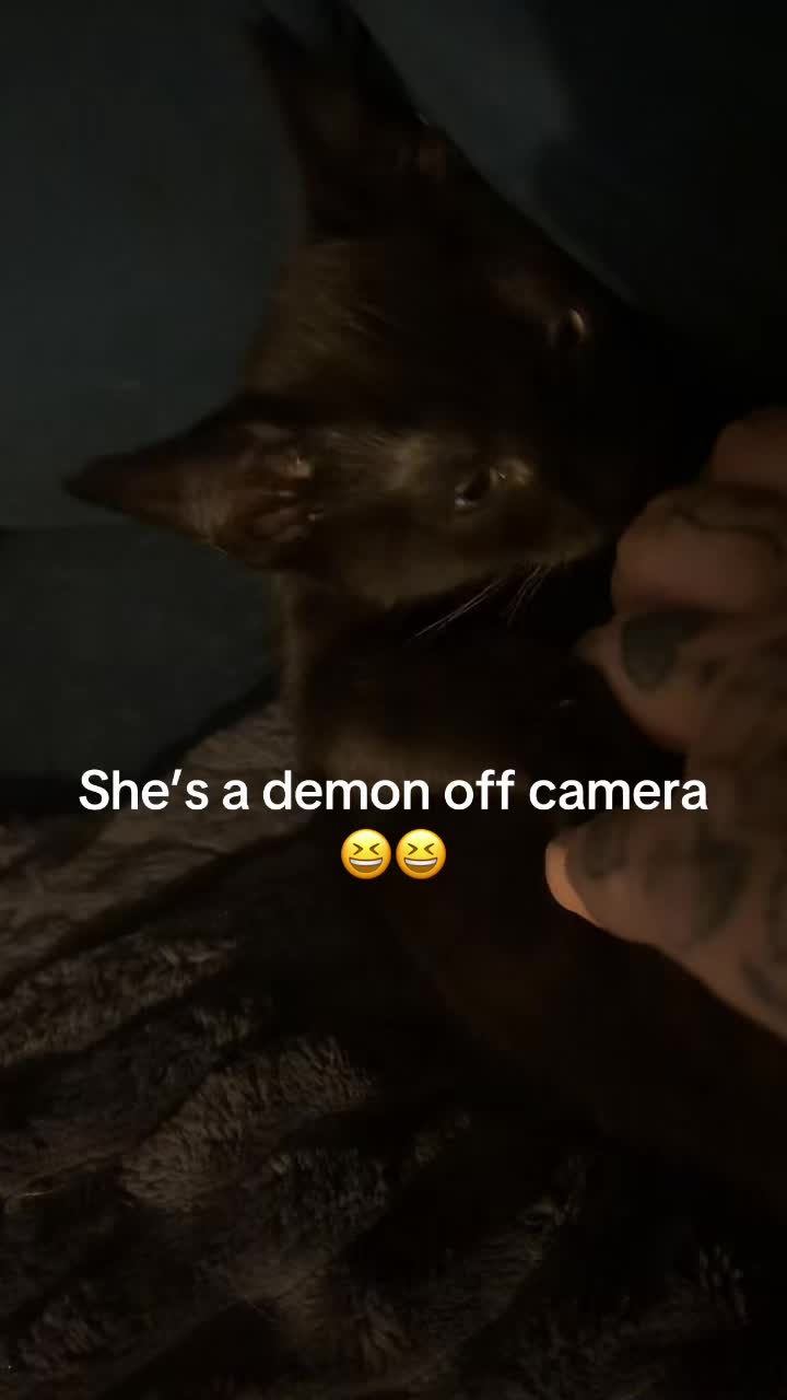 @Inkedmum