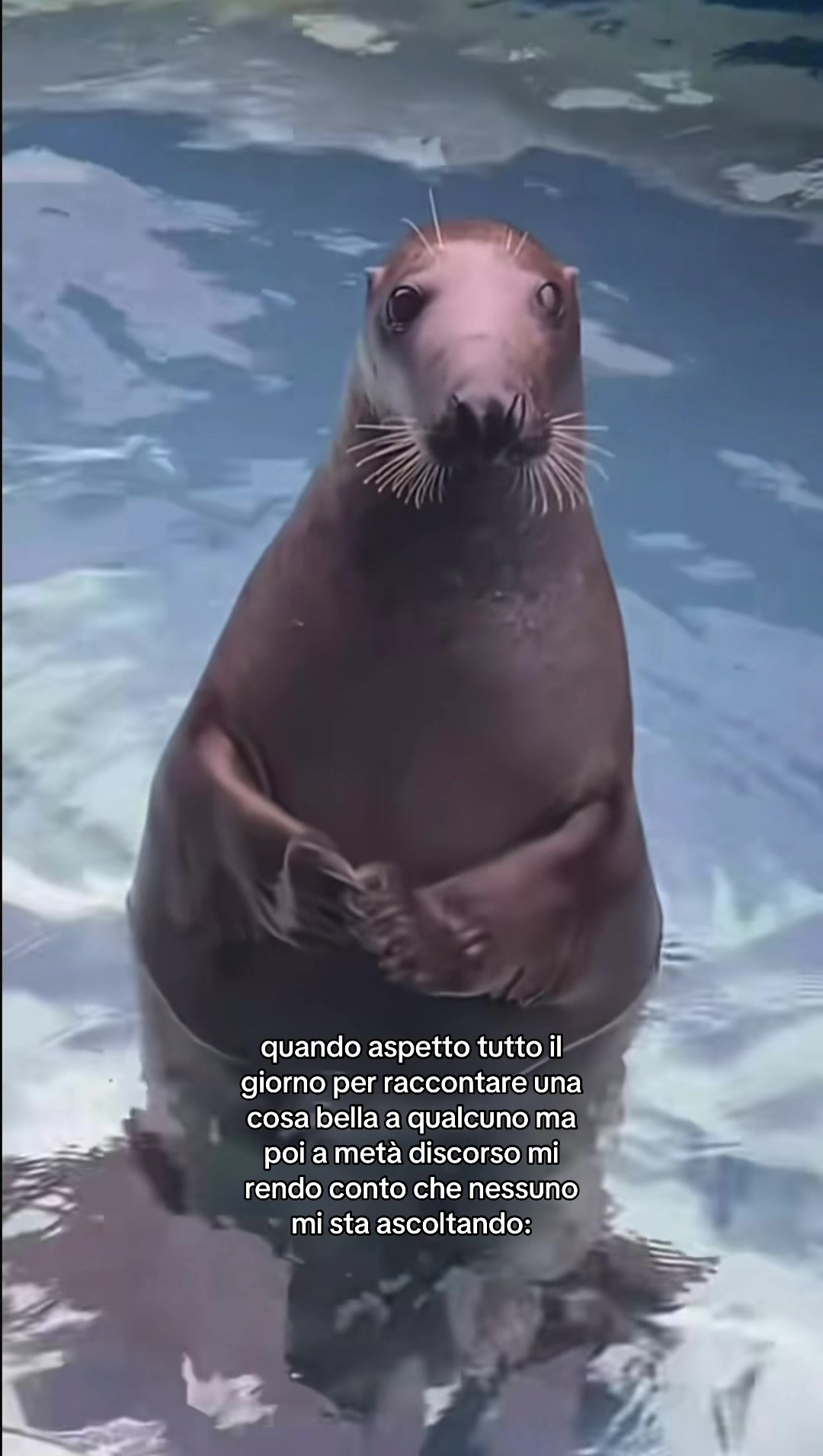 @marti
