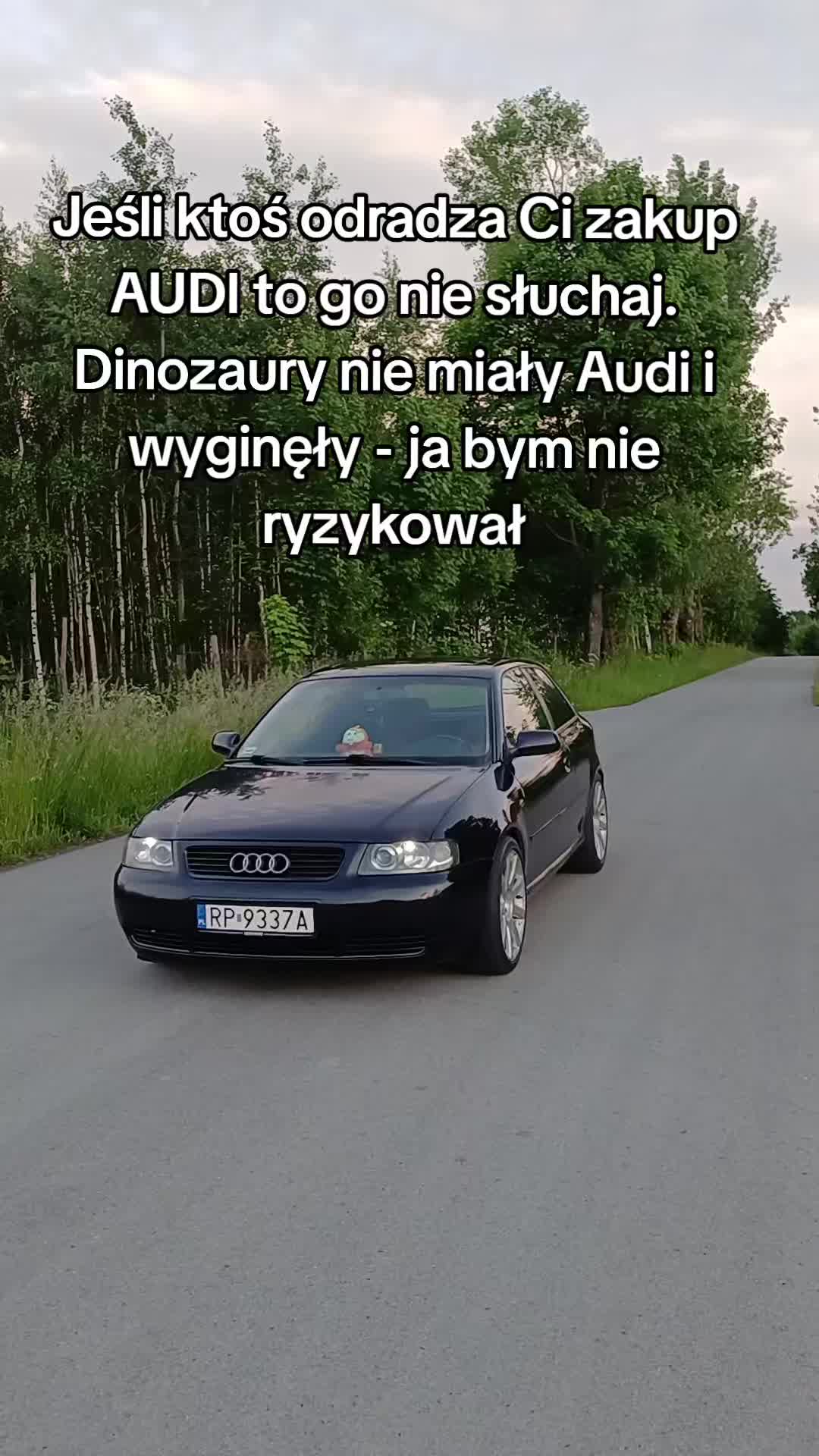 @Lysik_19