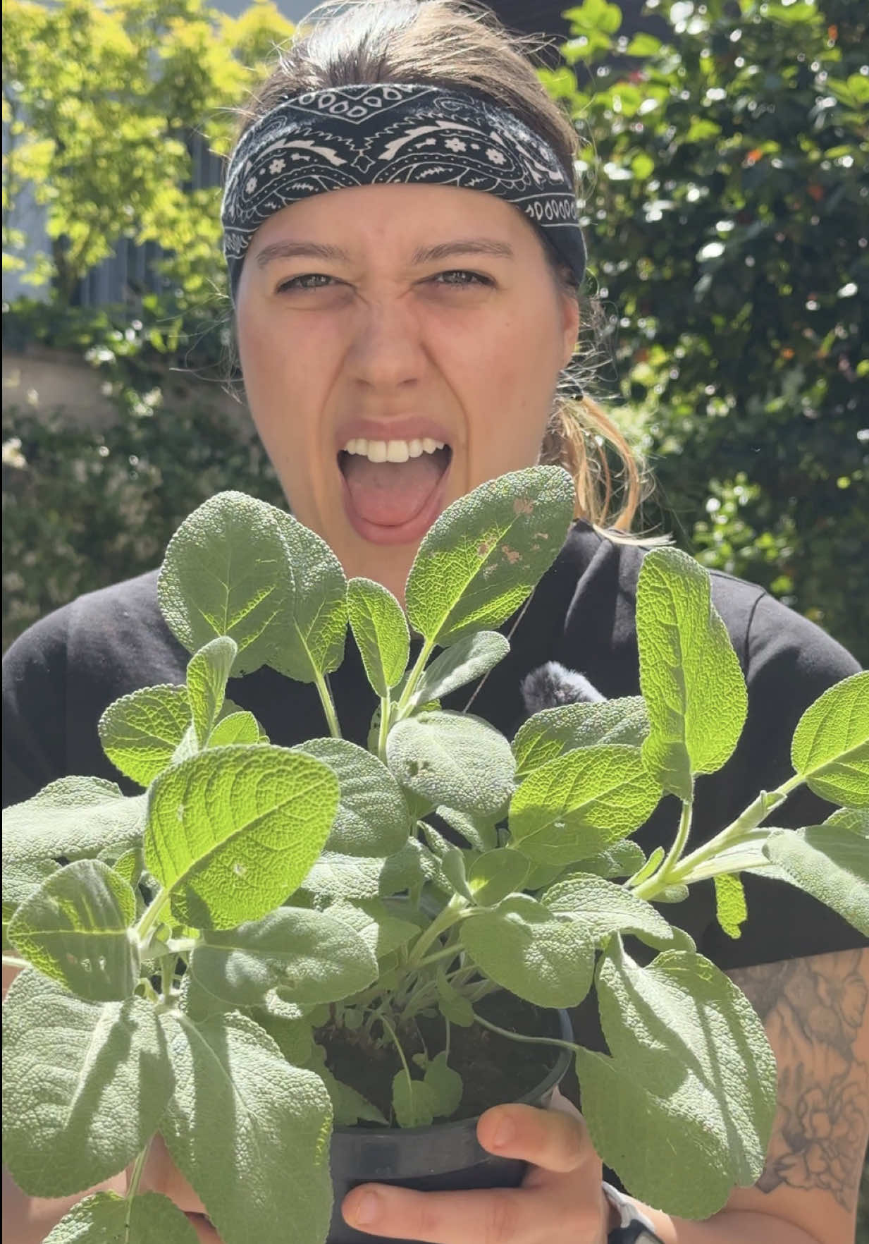 @Denise maestri ❤️&zwj;🔥