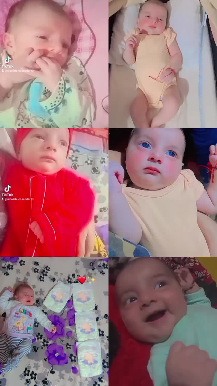 @nicoletacoscodaru3