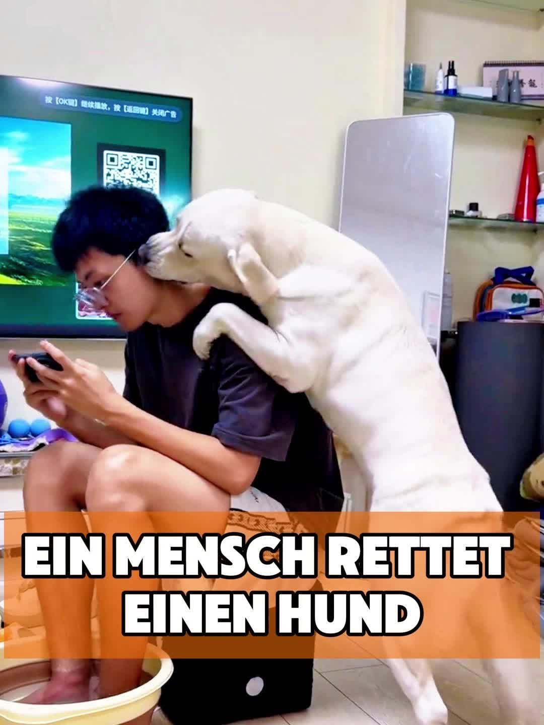 @toto_tier