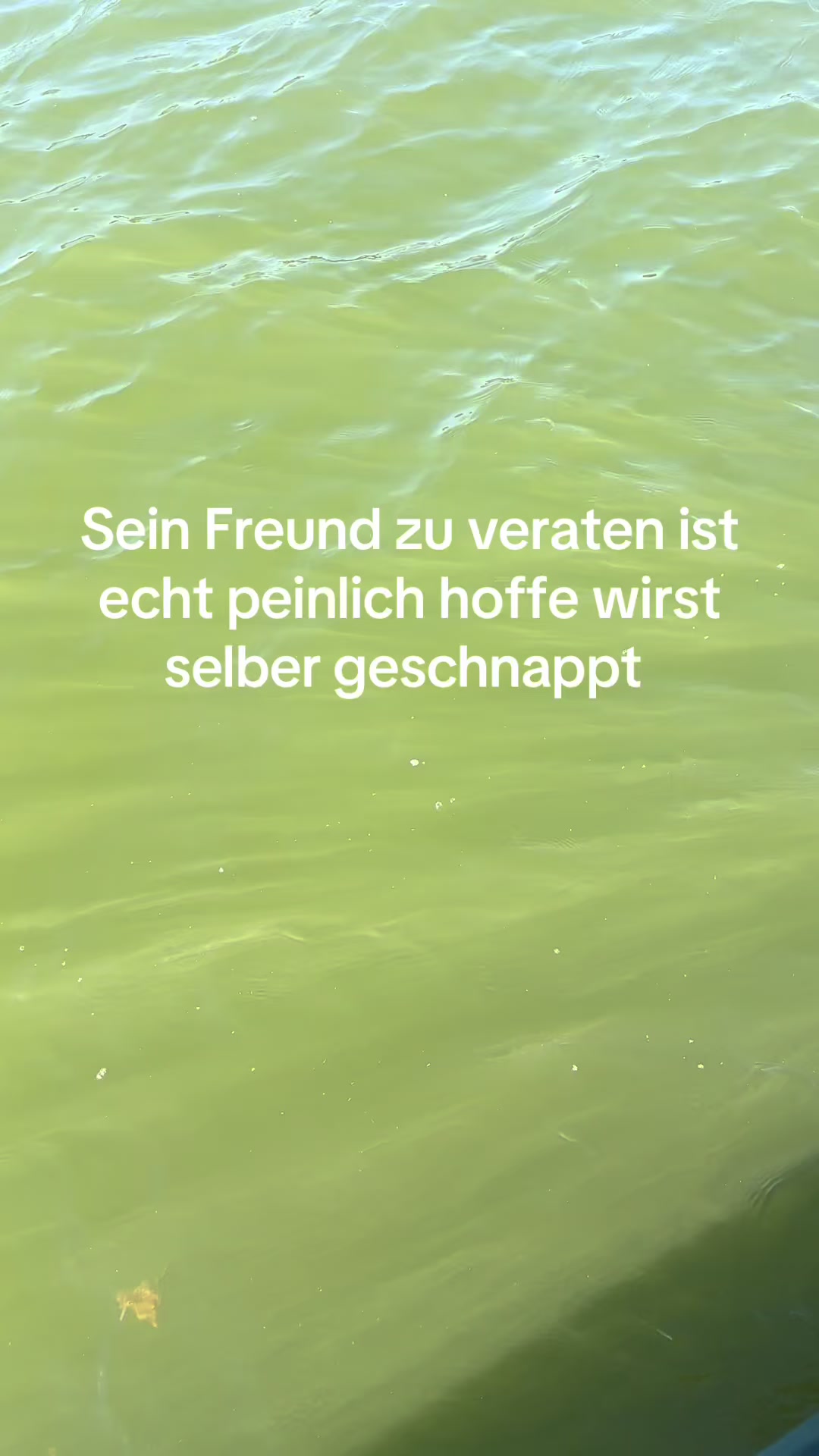 @zwck_fbs