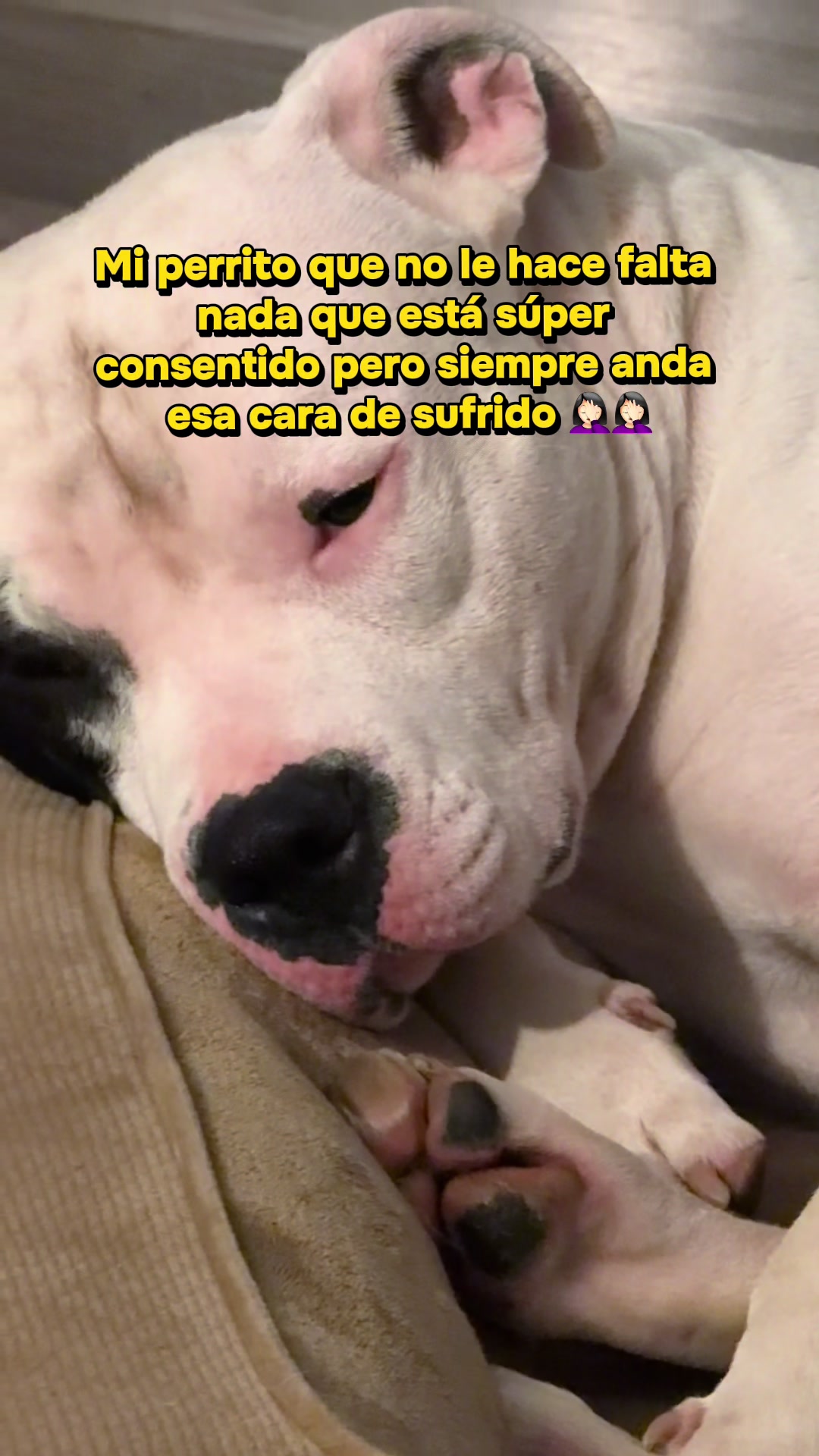 @Katia Diaz