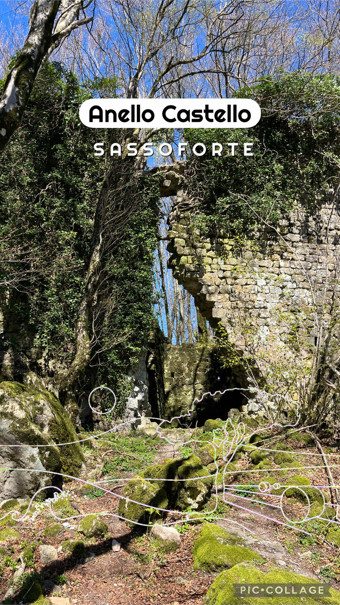 @Maremma Green Passion