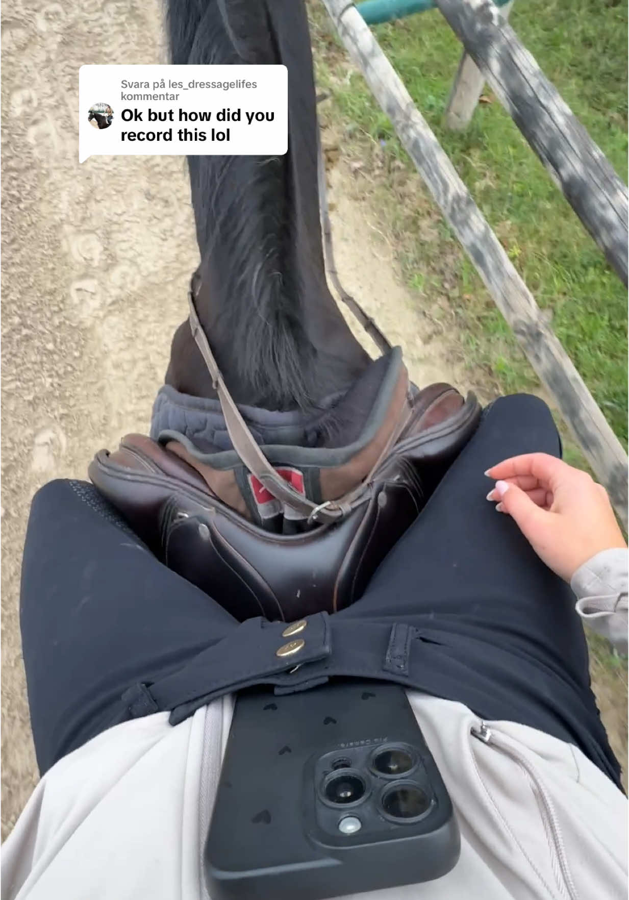 @Alva Svensson