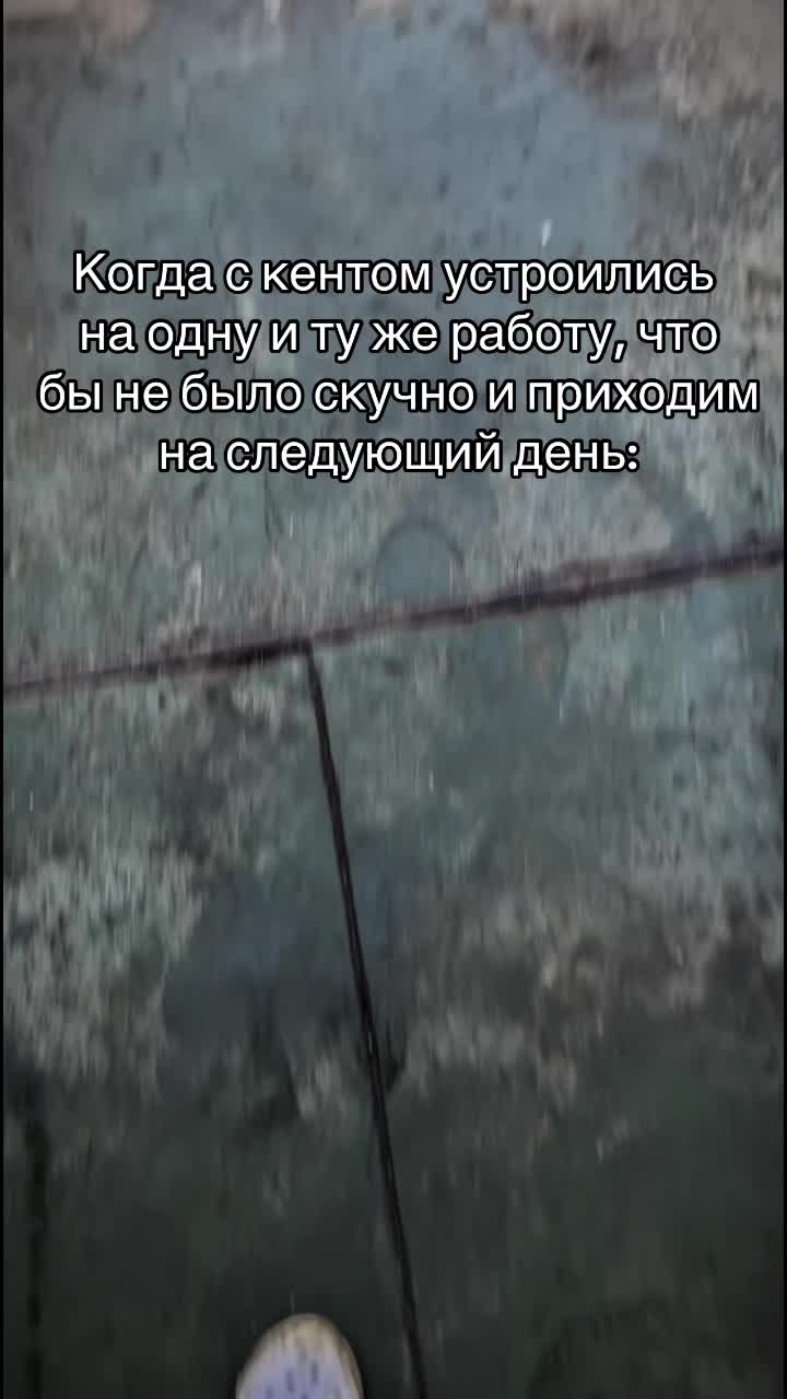 @656_TEAM