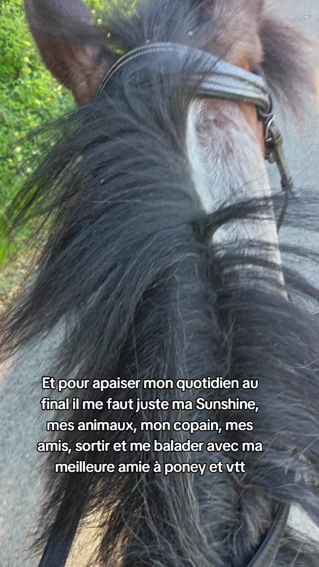 @AhlFa