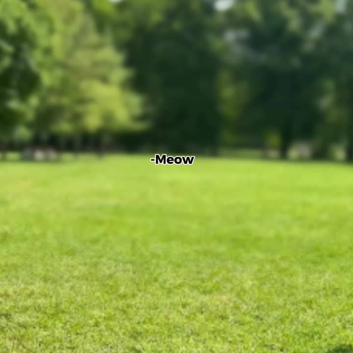 @immean