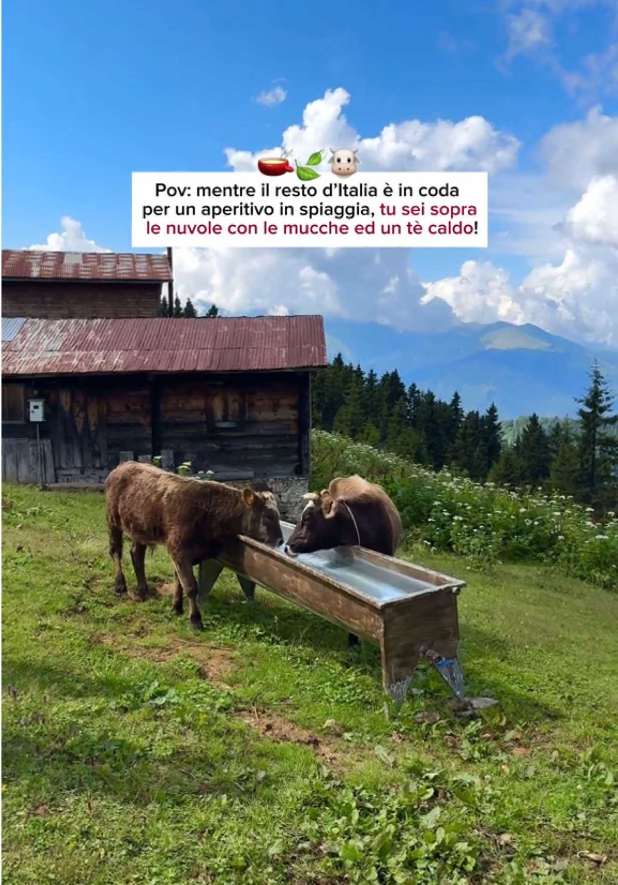 @Carmen Aprile