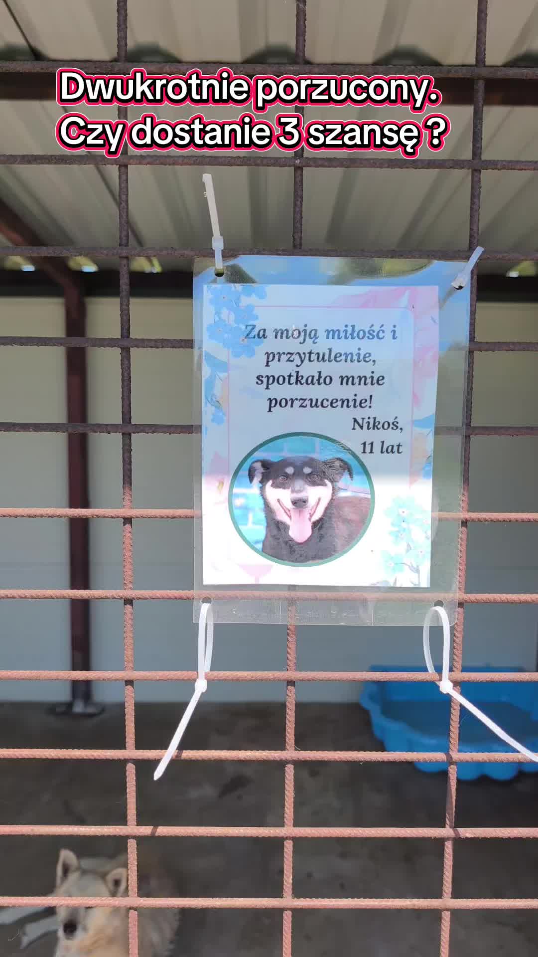 @Bezdomniaki_ze_śląska
