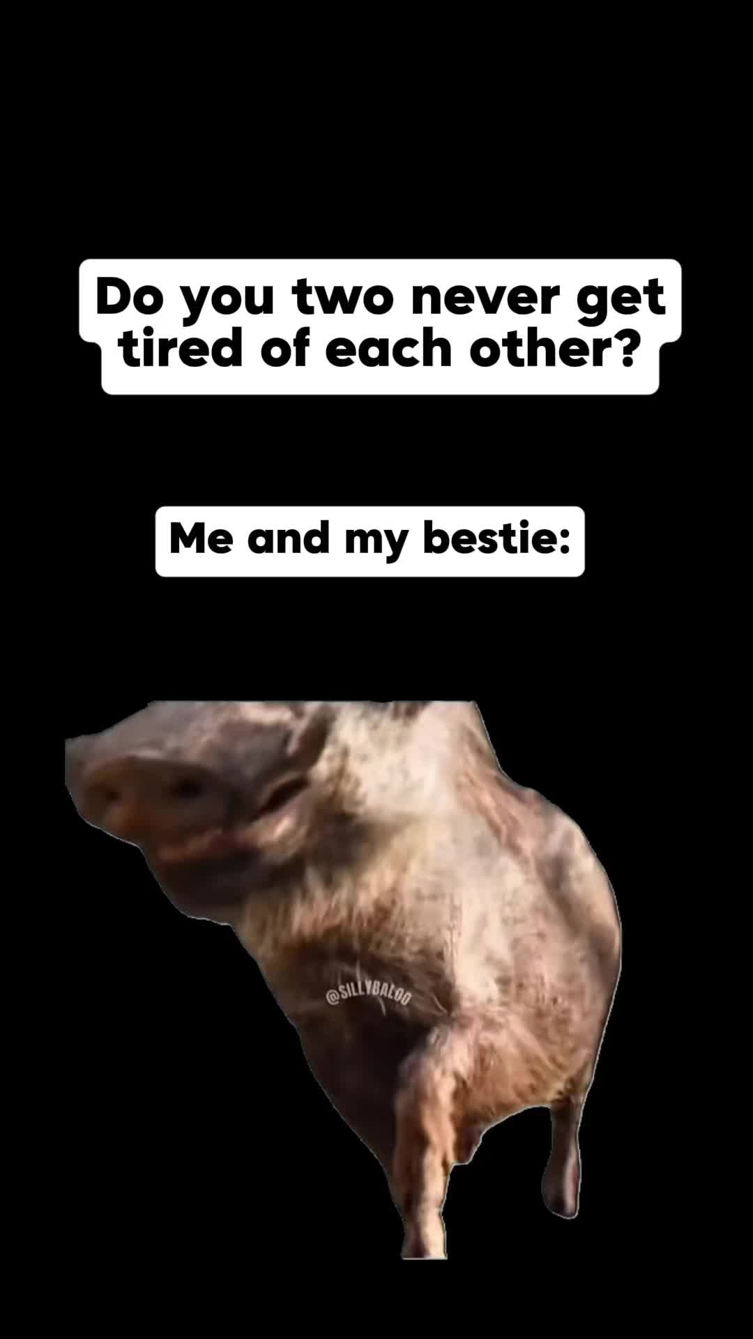 @Jayden