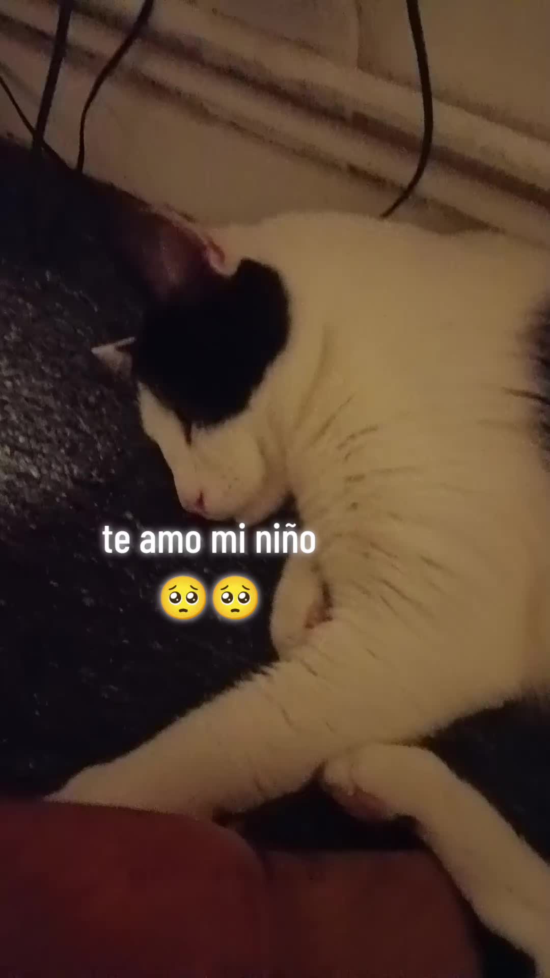@Naomita🤩🤩