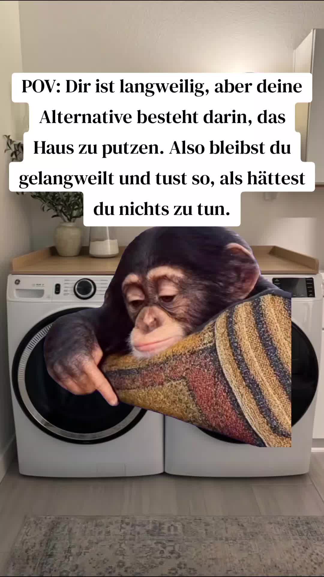 @Meme_Zentrale_