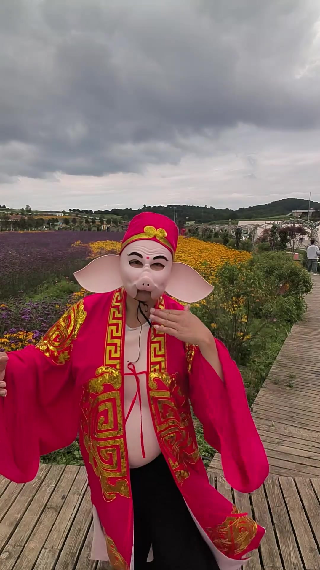 @Journey to the West Pigsy