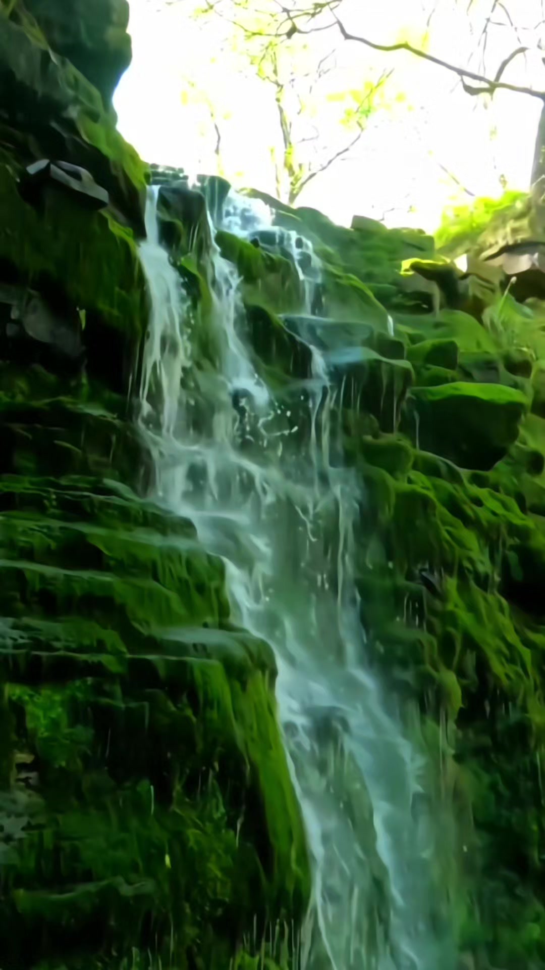 @Tuseef builder LTD 👷&zwj;♂️