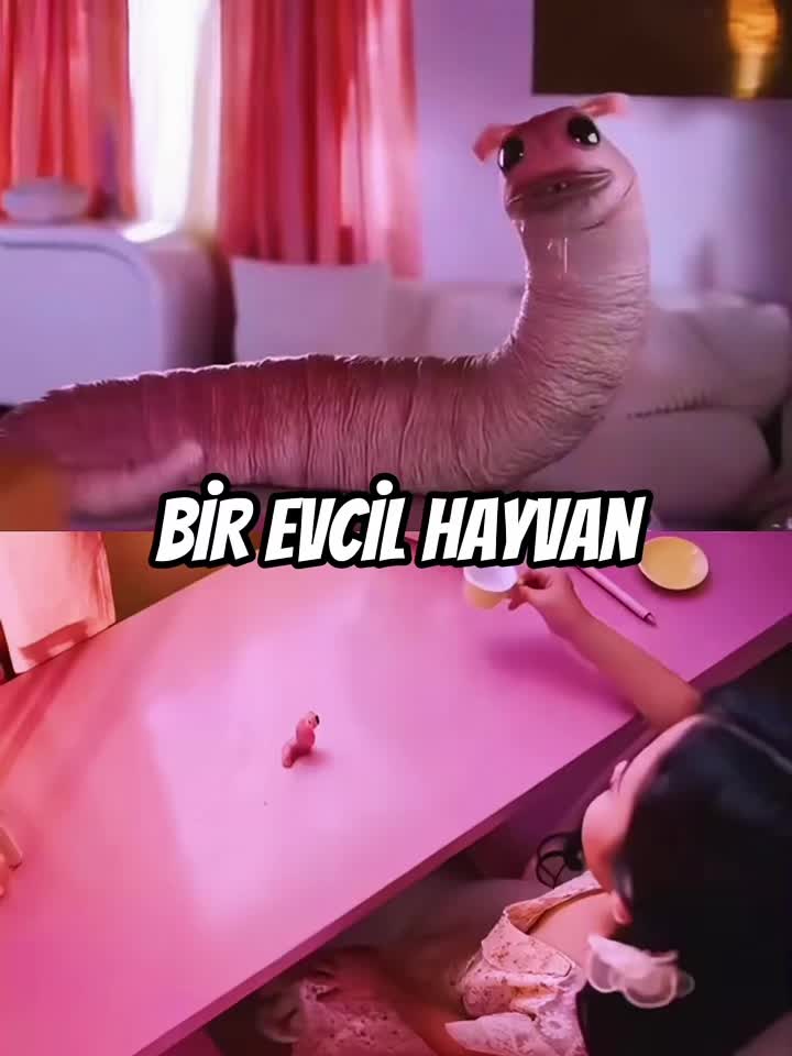 @NeYapayBuZekaTiktok