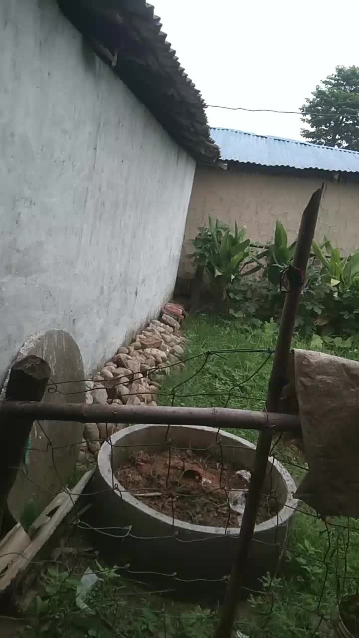 @Kali😻💘
