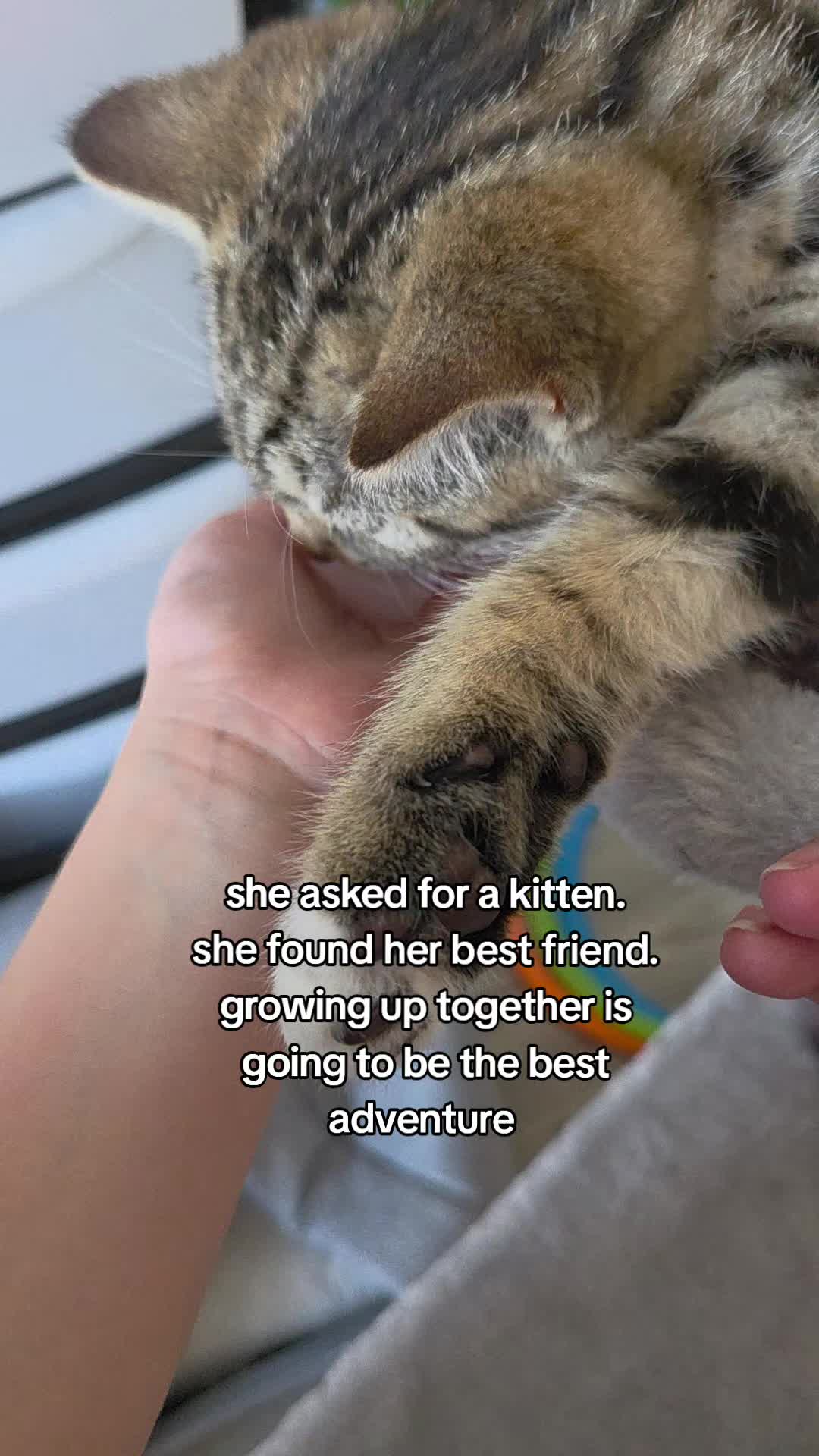 @MarriedWithMeltdowns