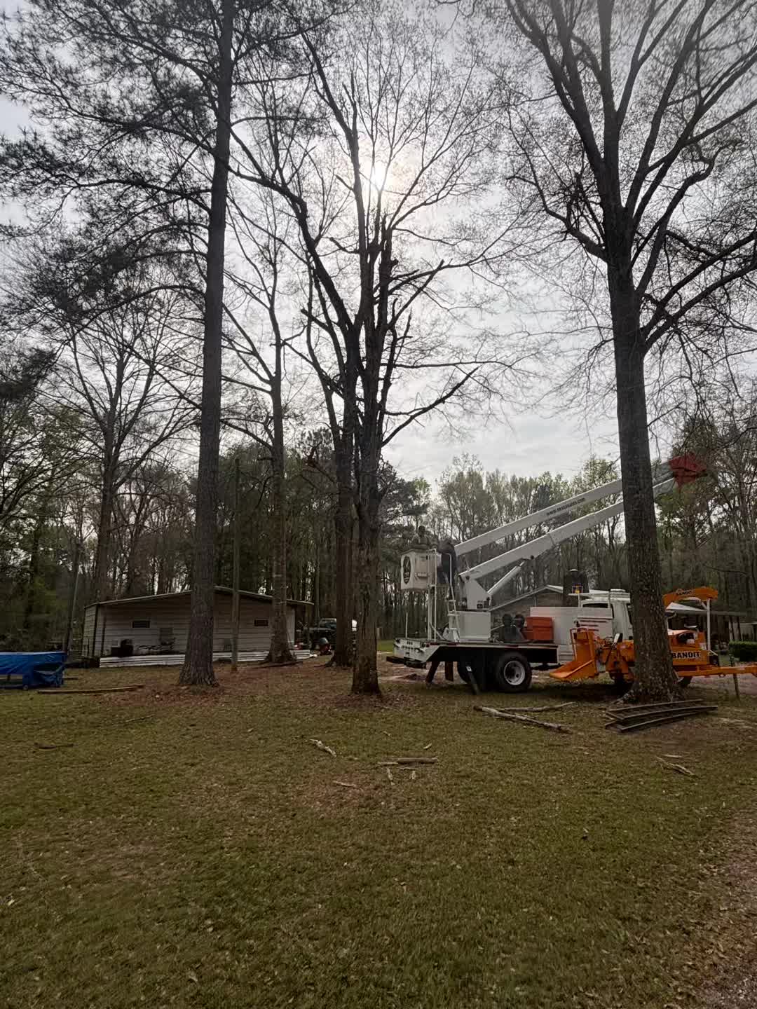 @CSR Tree Service, LLC.