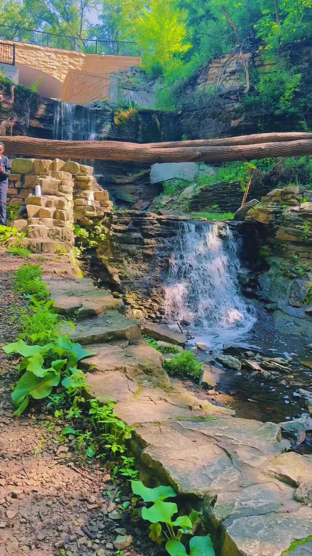@Sujata Upreti 🧿🇳🇵🇺🇸