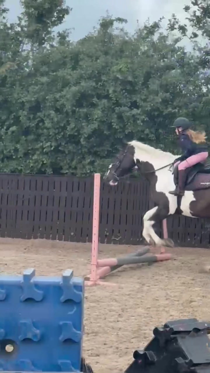 @LottiesHorseAdventures🦄🐴