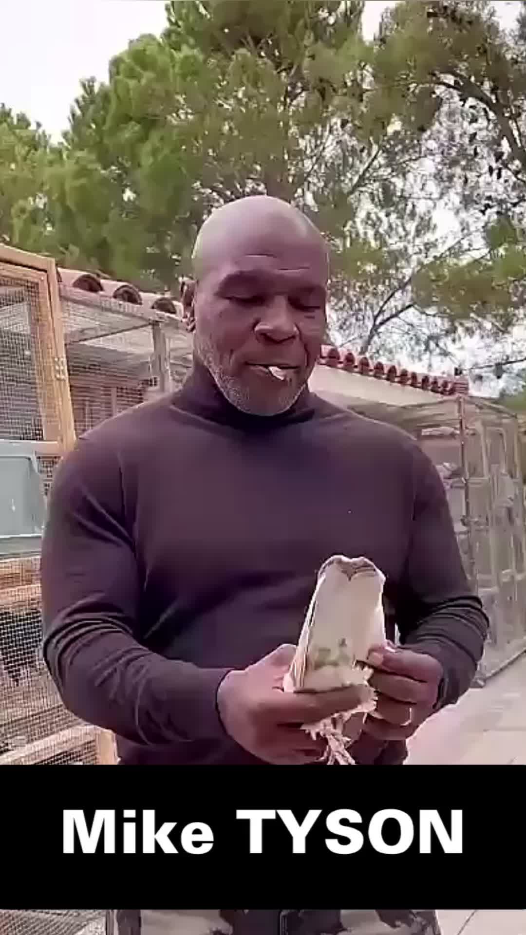 @TYSON