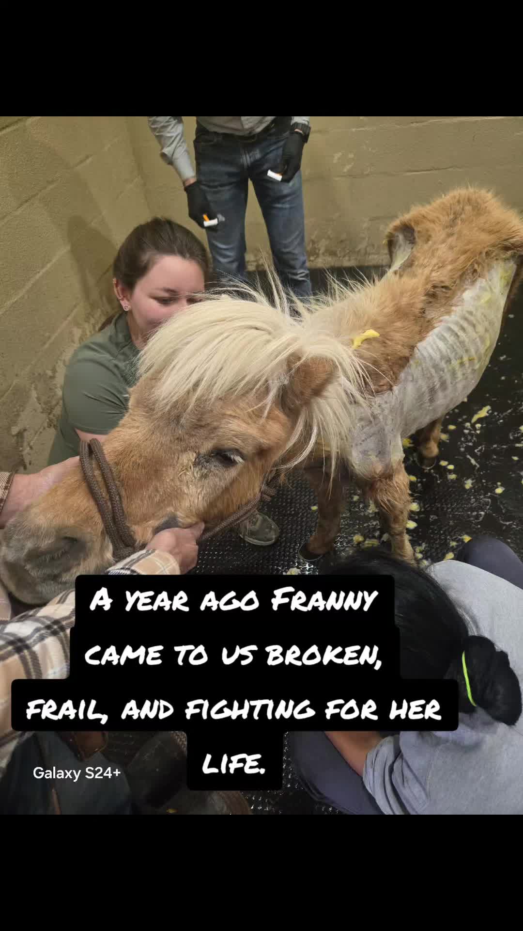 @Fonzy's Farm Rehab & Sanctuary