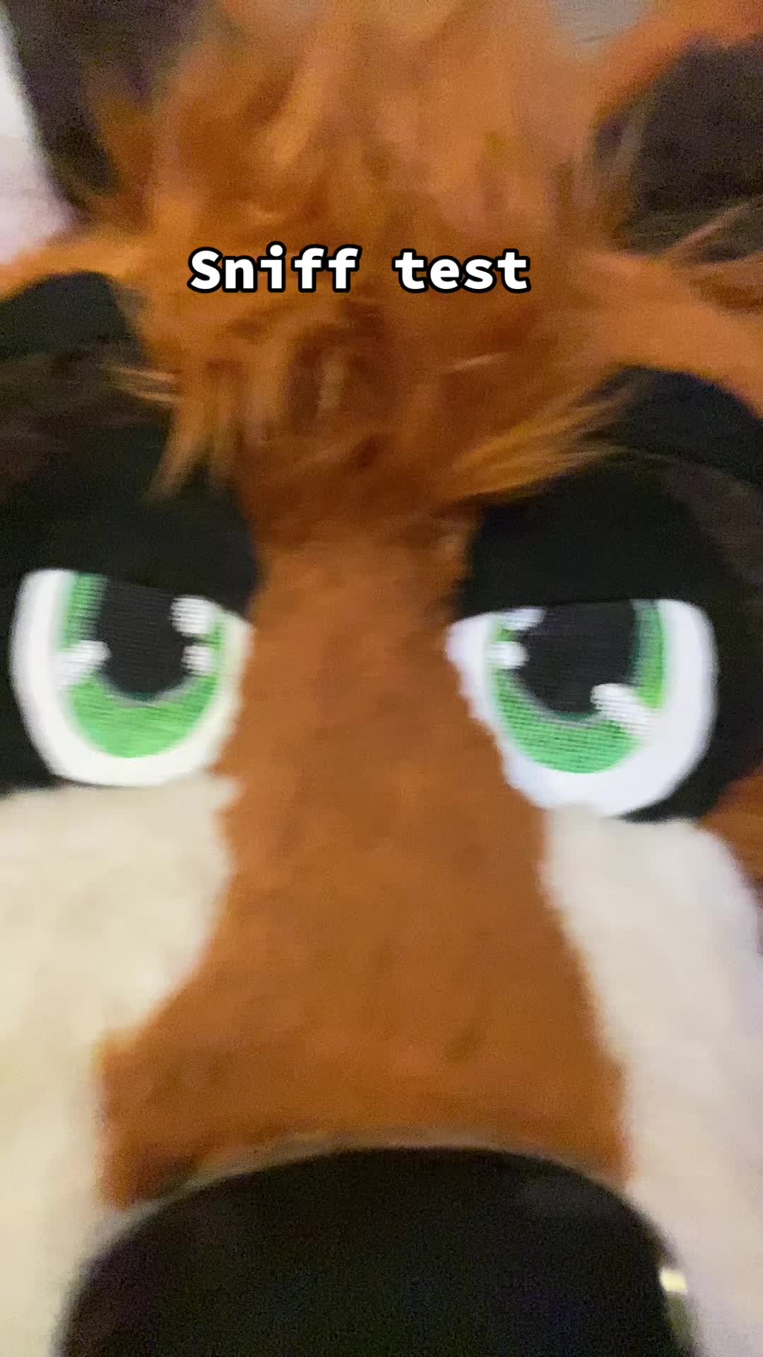 @b7ackm00n