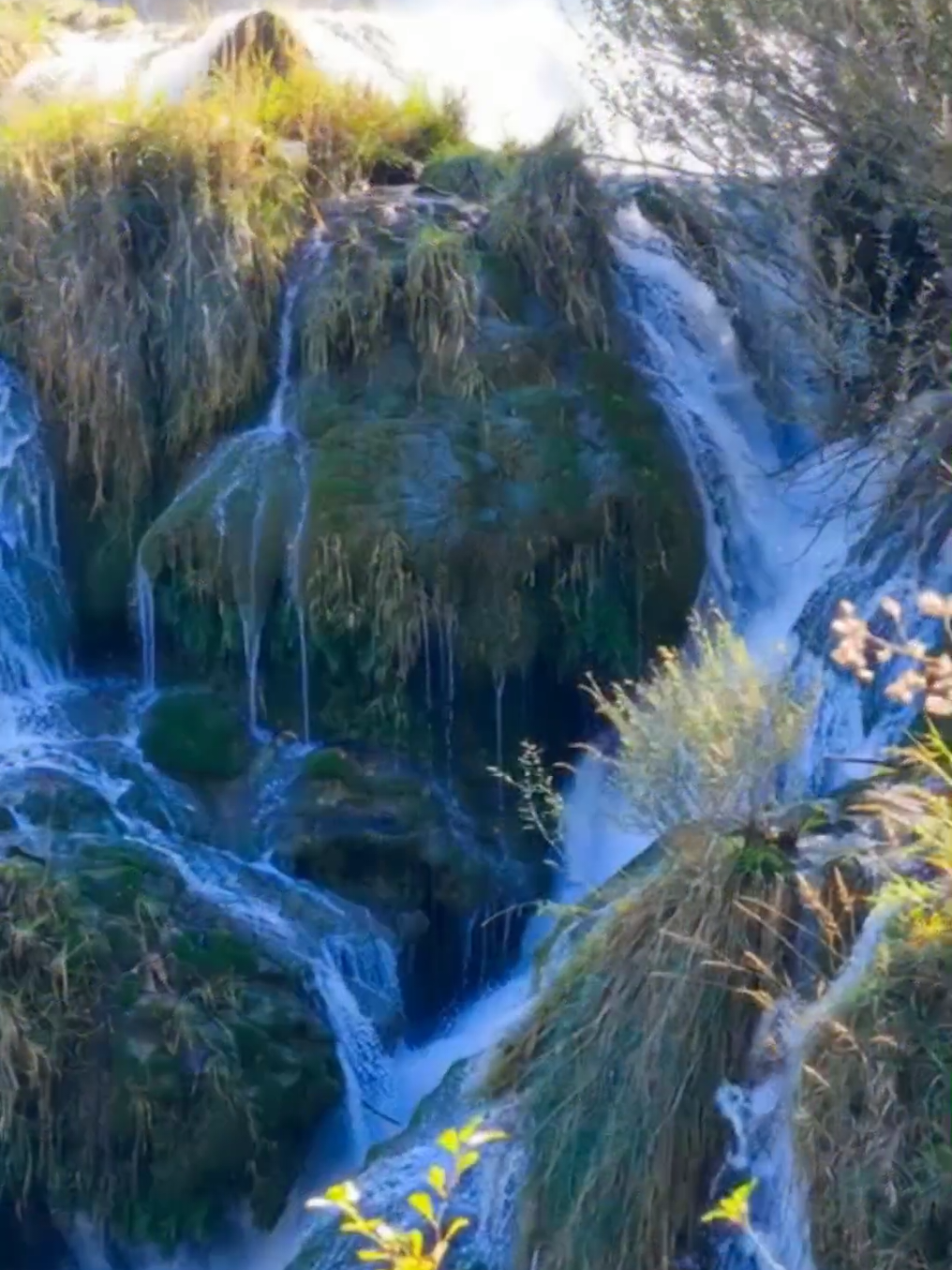 @~ Nature Escape ~