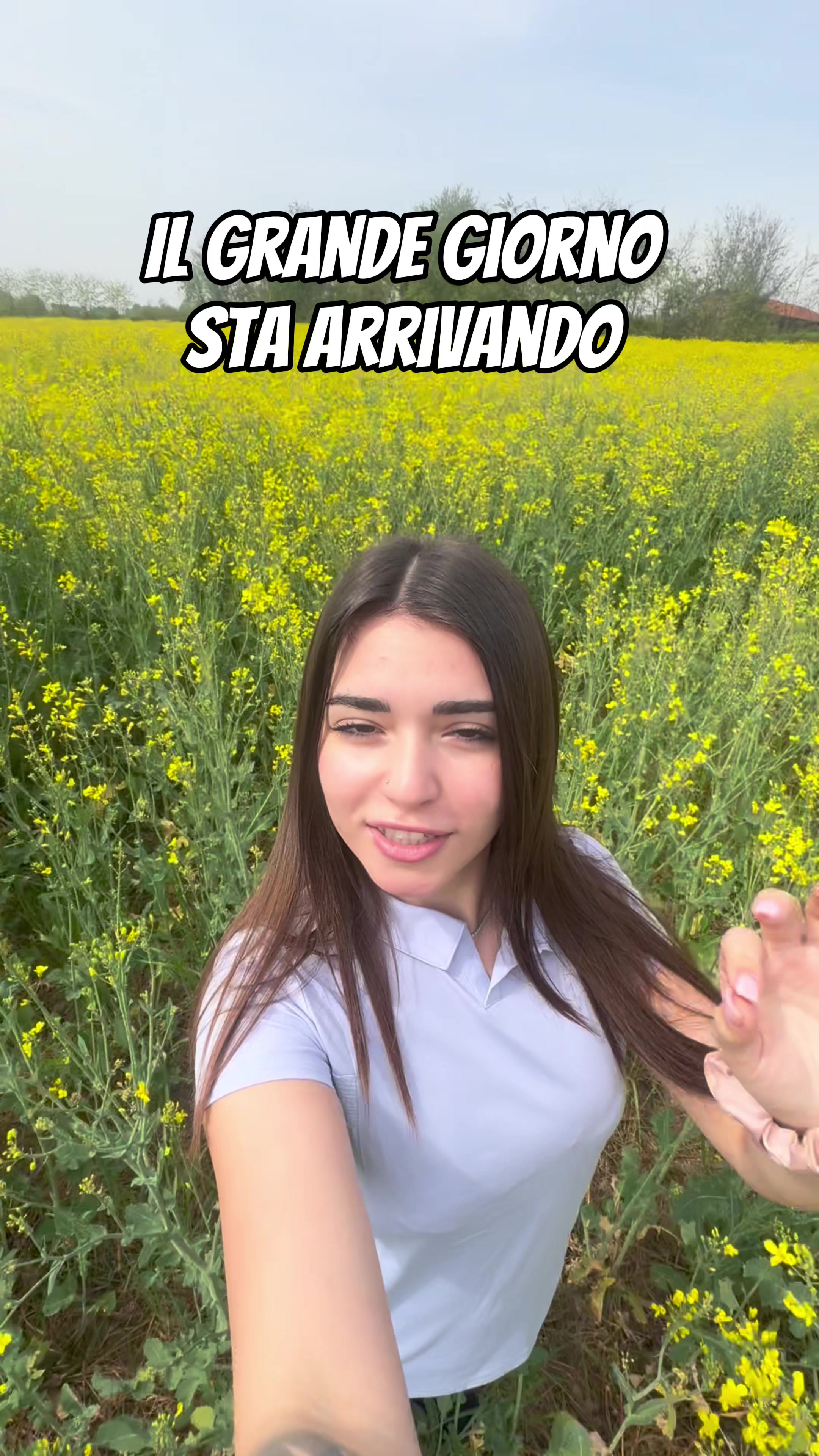 @Sofia de rose