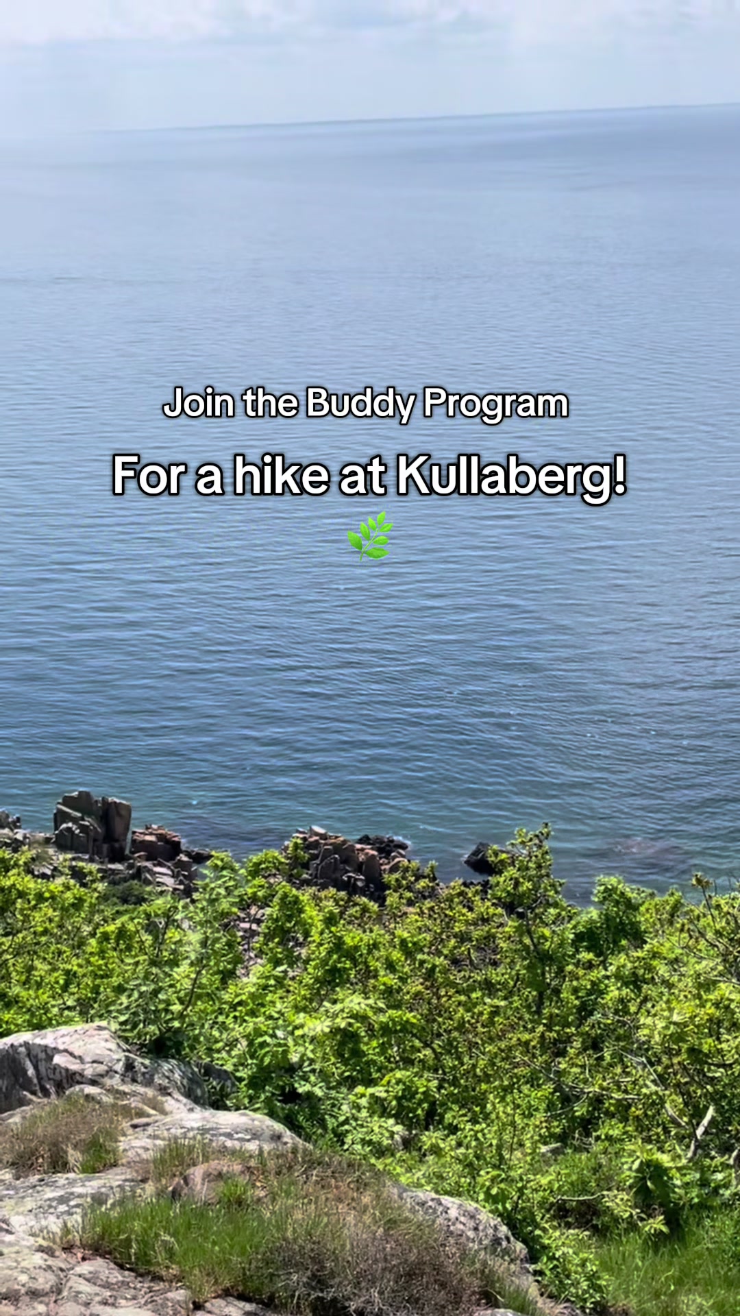 @Malm&ouml; University