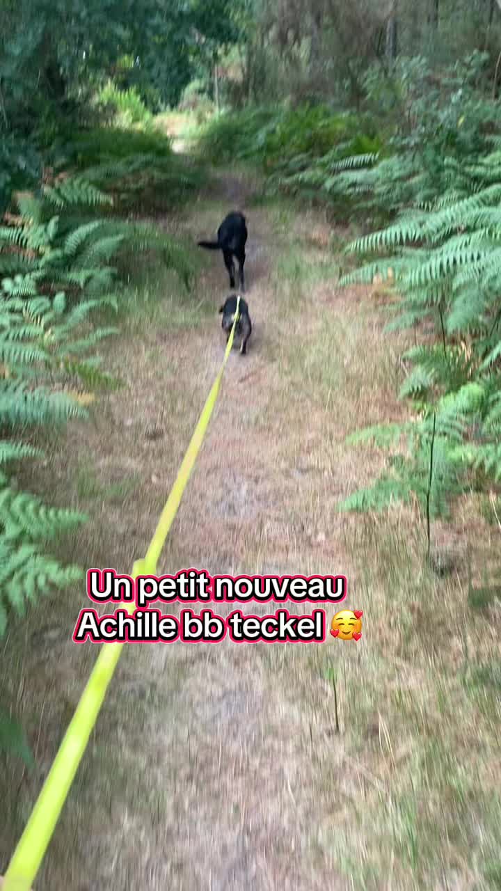 @nathalie..maurice