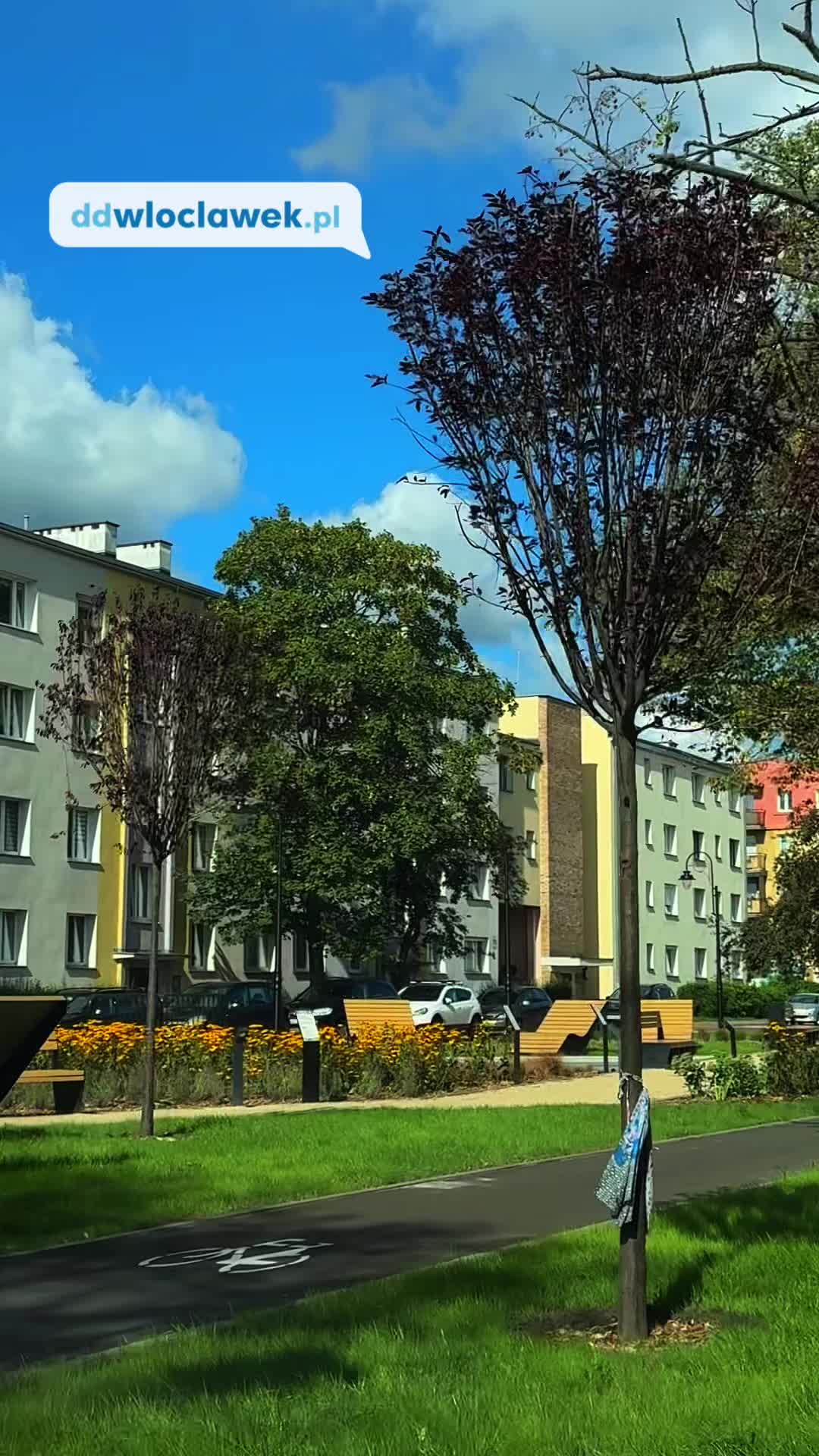 @ddwloclawek