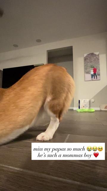 @simplycedesss
