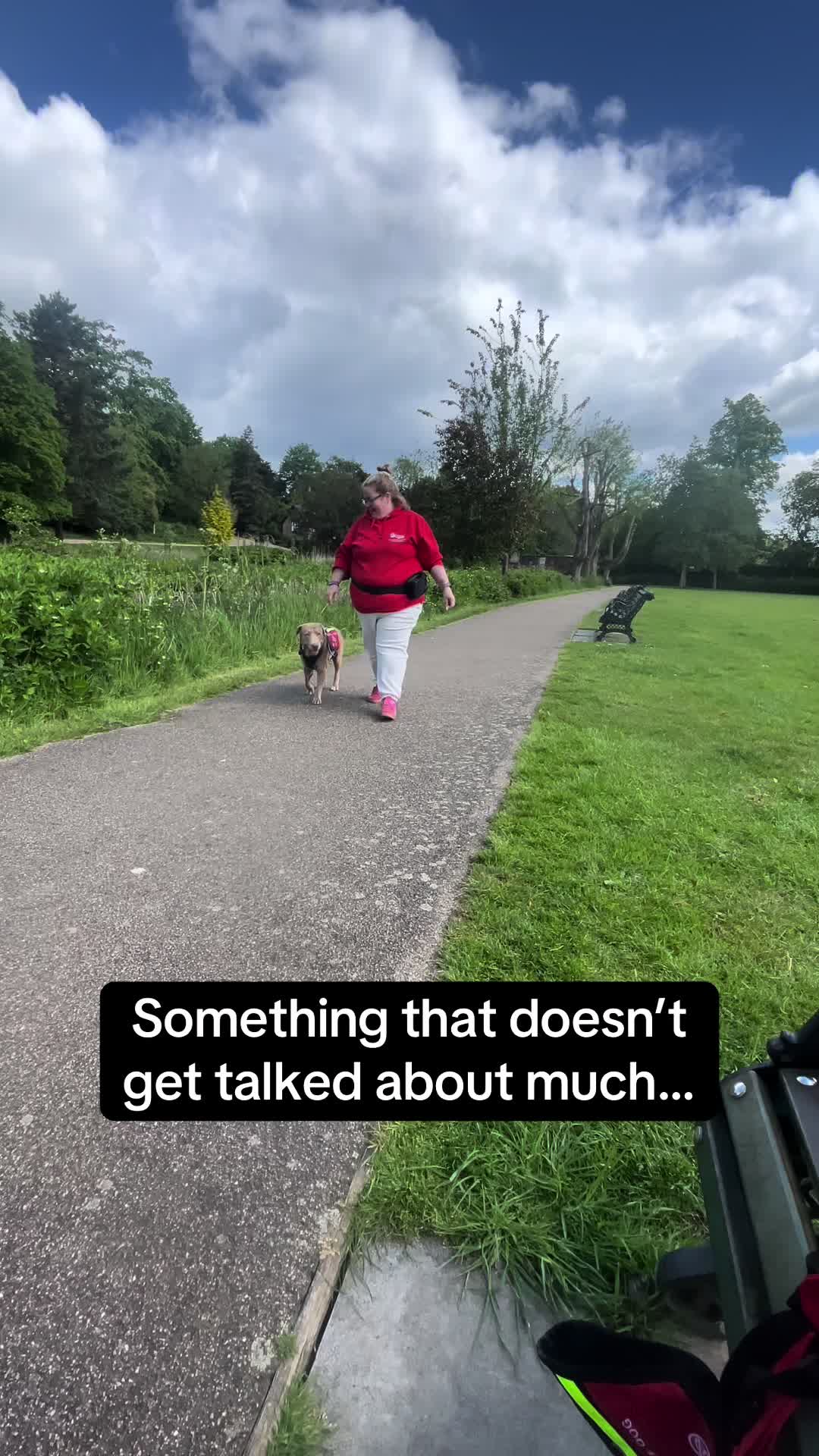 @Infinity Dogs CIC