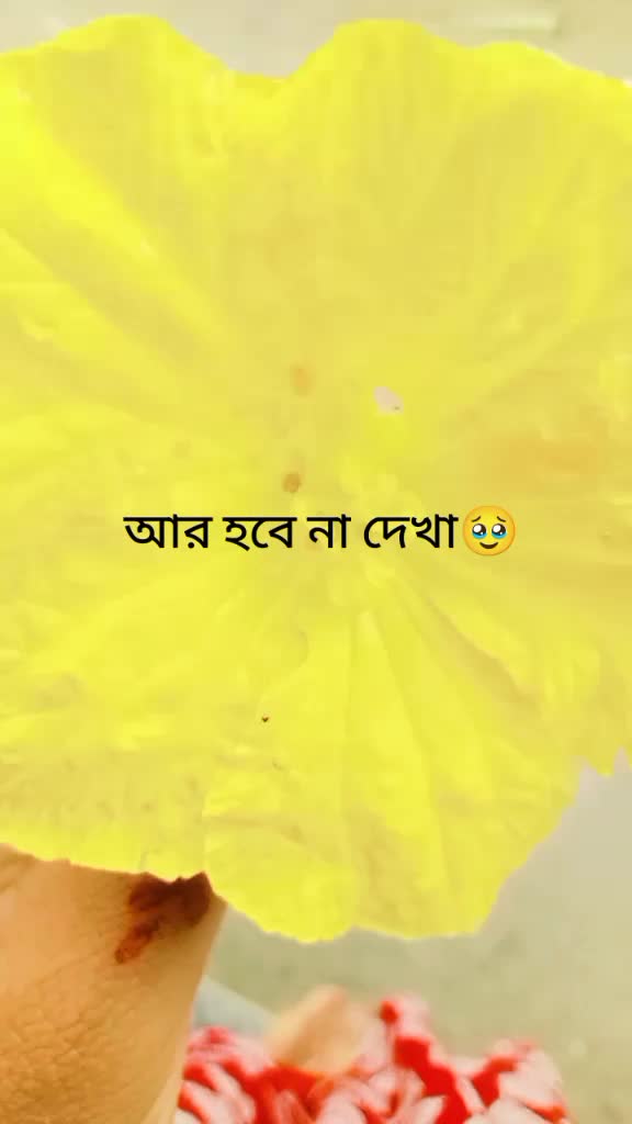 @samira