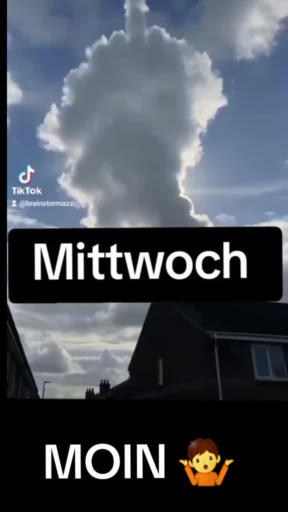 @𝔱卄𝔬𝓶คᔕ 🦂🐧🐶