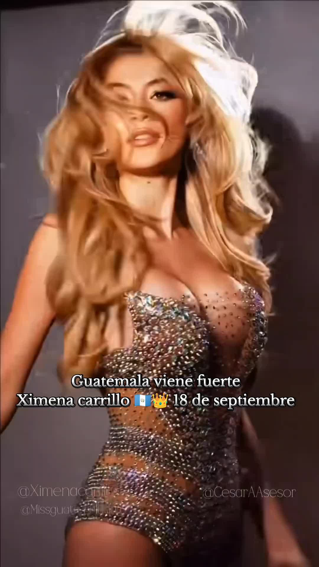 @Sergio 🐦🔥