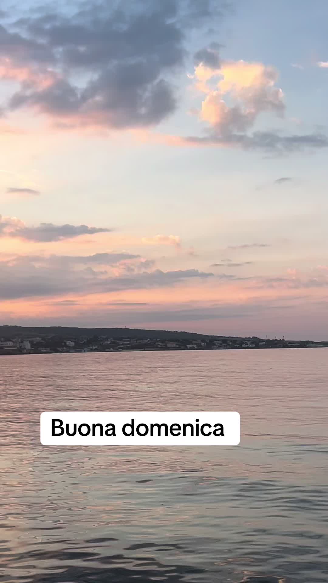 @Luna Chiena