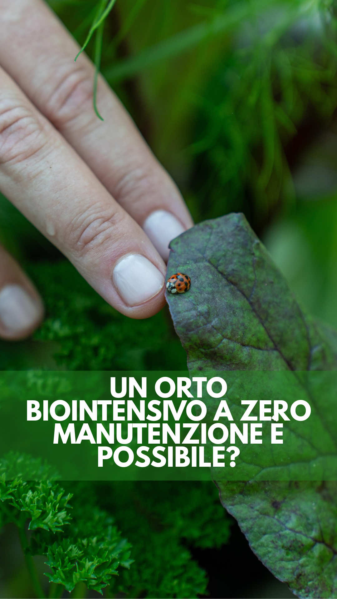 @icookwithnature