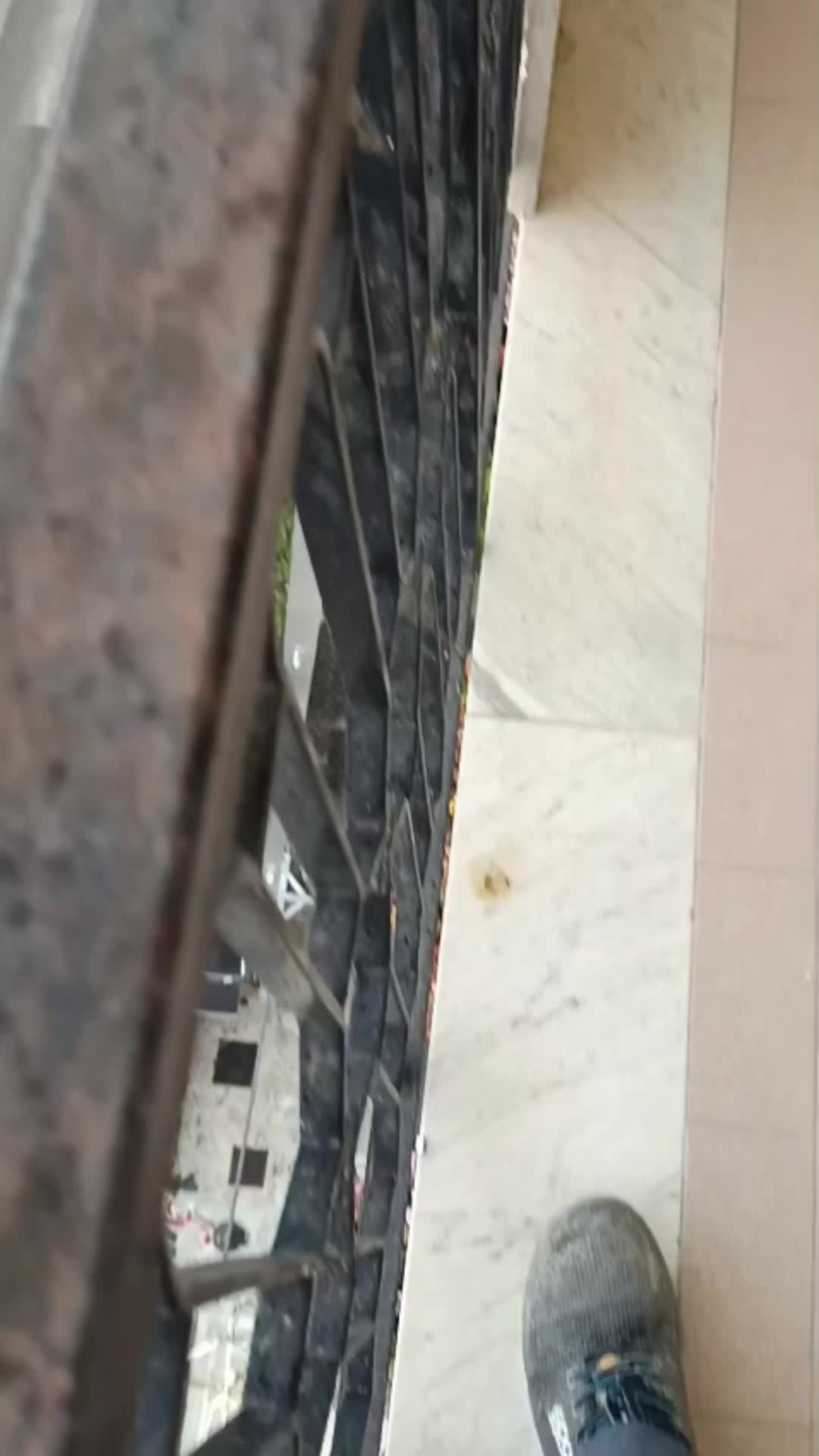 @Enzo D'arco