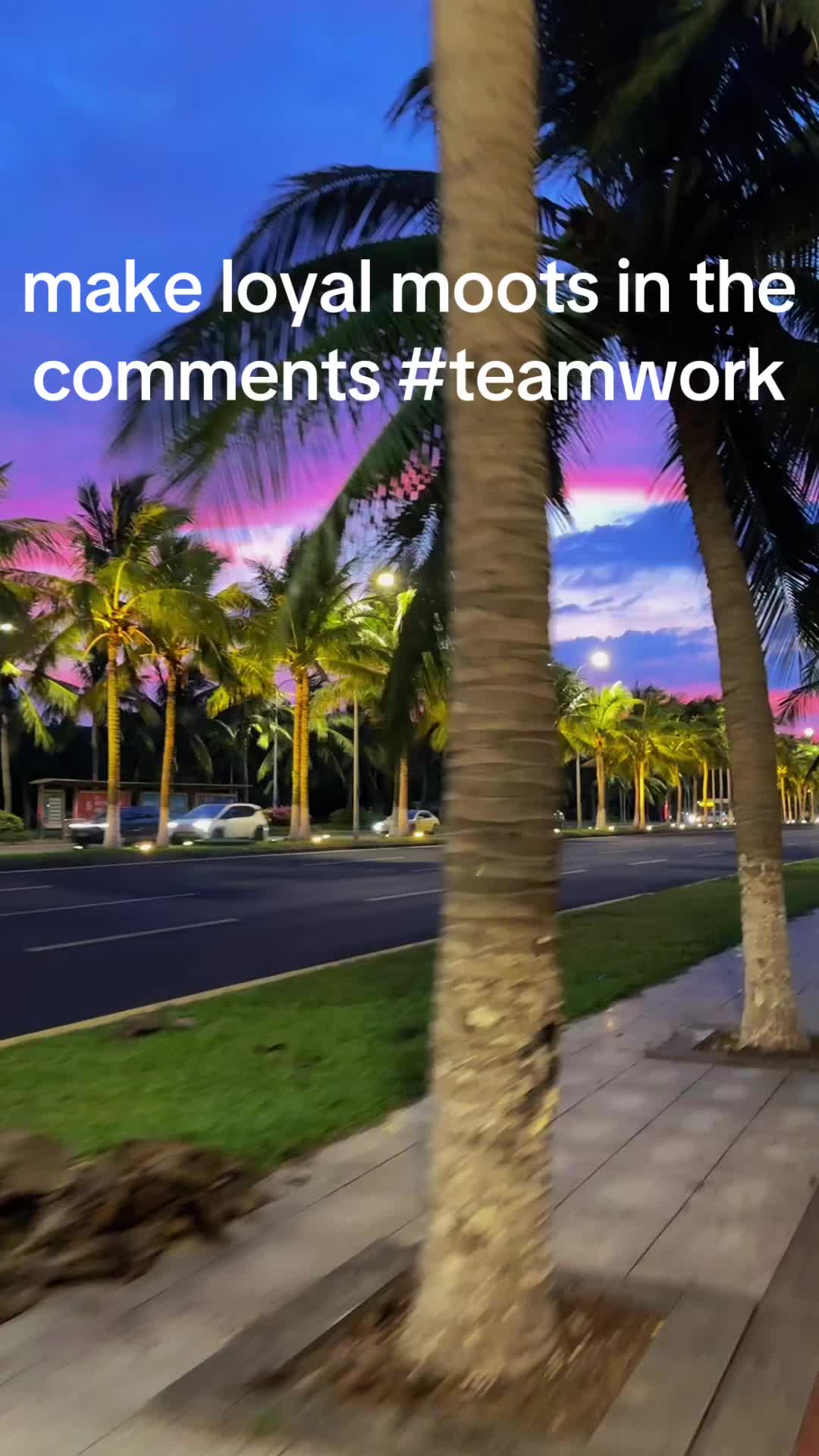 @🪽